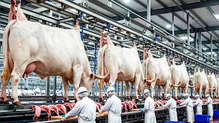 Inside the Future of White Cow Horn & Leather Manufacturing | India’s Mega Luxury Factory