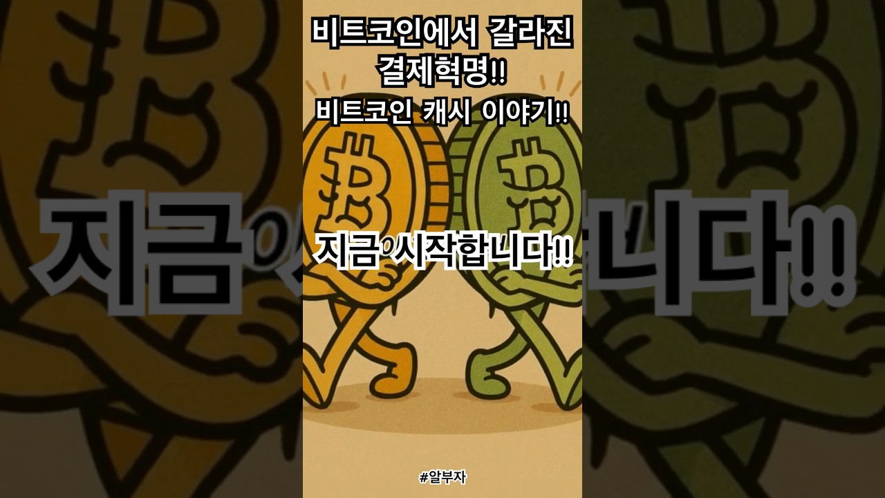 🚀 비트코인 캐시의 모든 것! 하드포크부터 현재 가치까지 💸 #비트코인캐시 #알트코인 #하드포크 #로저버 #지한우 #암호화폐  #결제혁명 #투자정보 - YouTube