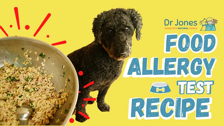 Constantly Itching Dog? Dr. Jones Talks Best Allergy Tests and Home-Cooked Fixes!
