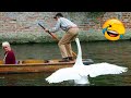 Best Funny Animal Videos Of The 2022 🤣 - Funny Wild And Farm Animals Videos 🐴🦍