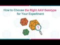 How to choose the right AAV serotype for your experiment