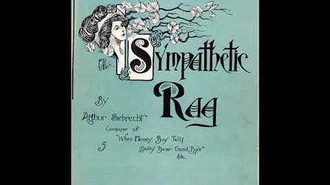 Sympathetic Rag   1911   Arthur Siebrecht "The Human Pianola"