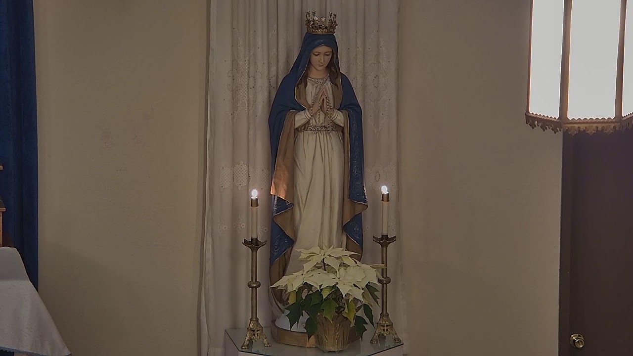 Rosary, January 29, 2024