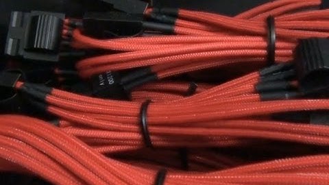 Singularity Hardware Order Analysis Video 10 (Subscriber Segment)