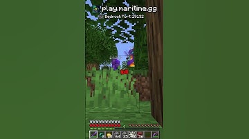 Trolling Stacked Players with a NPC Plugin!