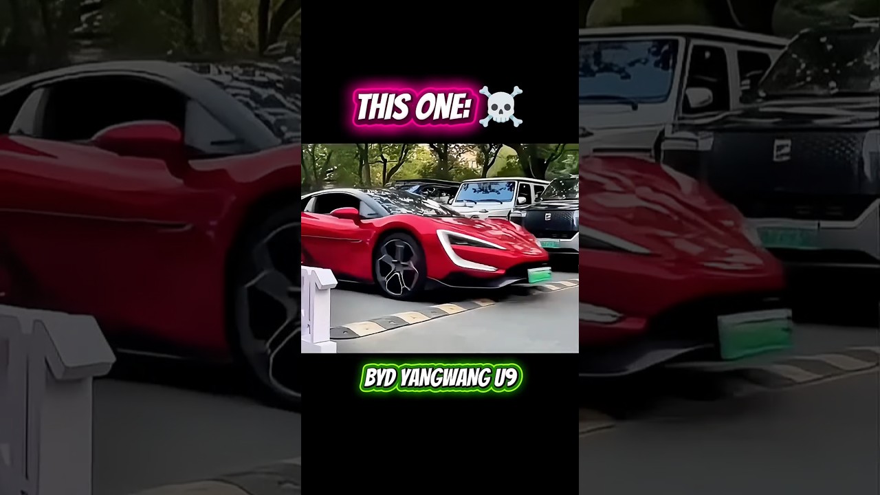 Others vs BYD ☠️ 