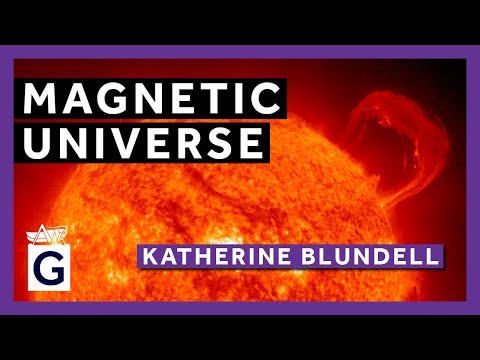 Magnetic Universe