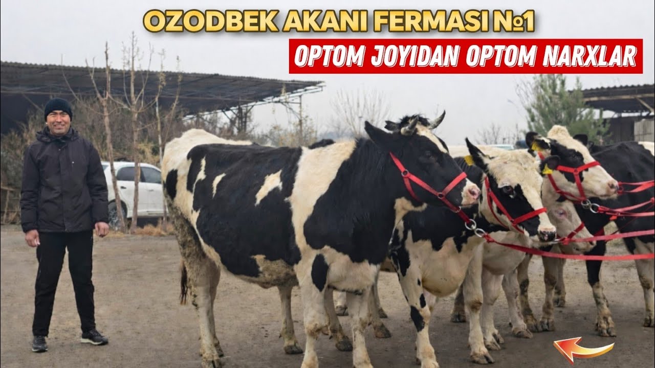 Ozodbek Aka Bugun Yorvordi Voy Doddd Bunaqasi Boʻlmagan ✈️✈️✈️🎯