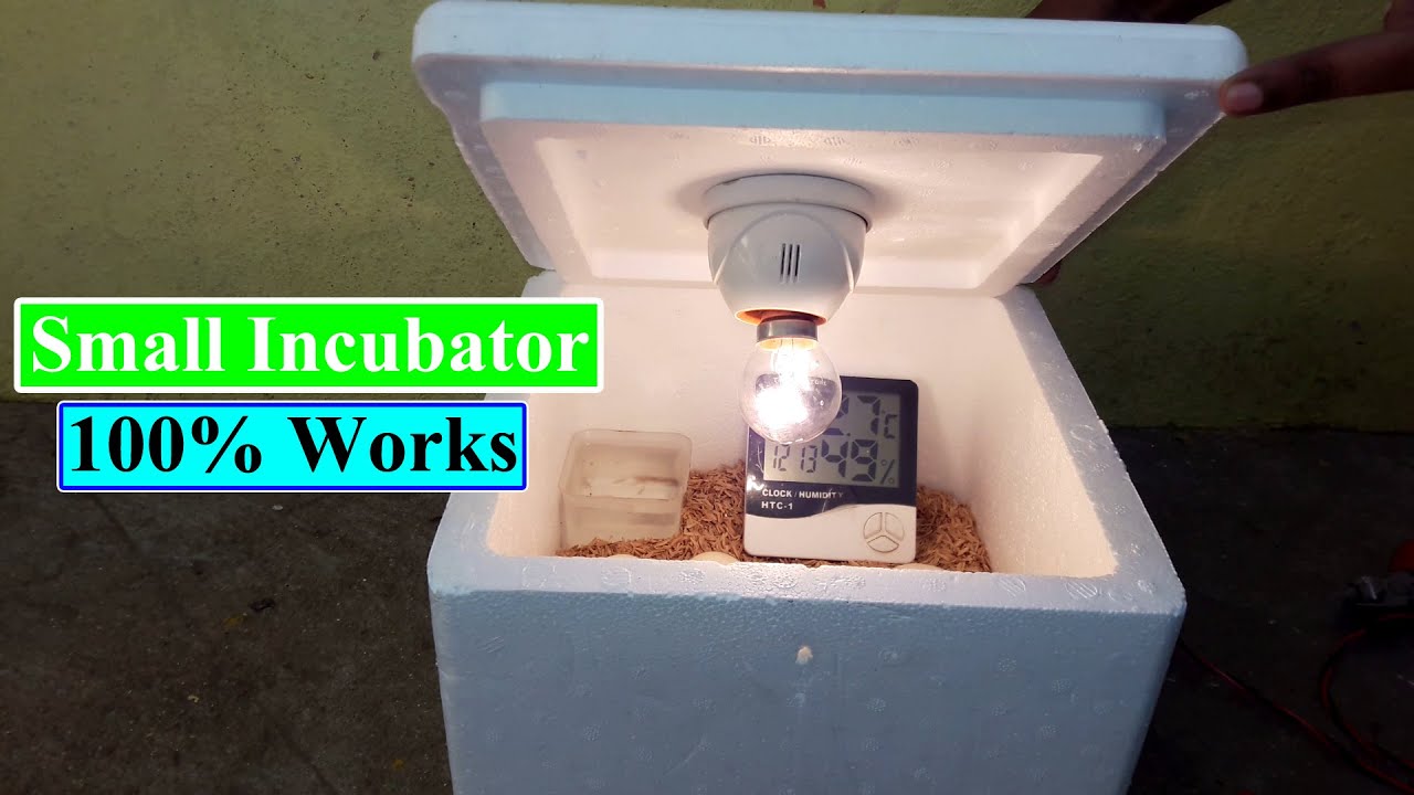 Best Small Incubator for Chicken Eggs Mini Egg Incubator Homemade