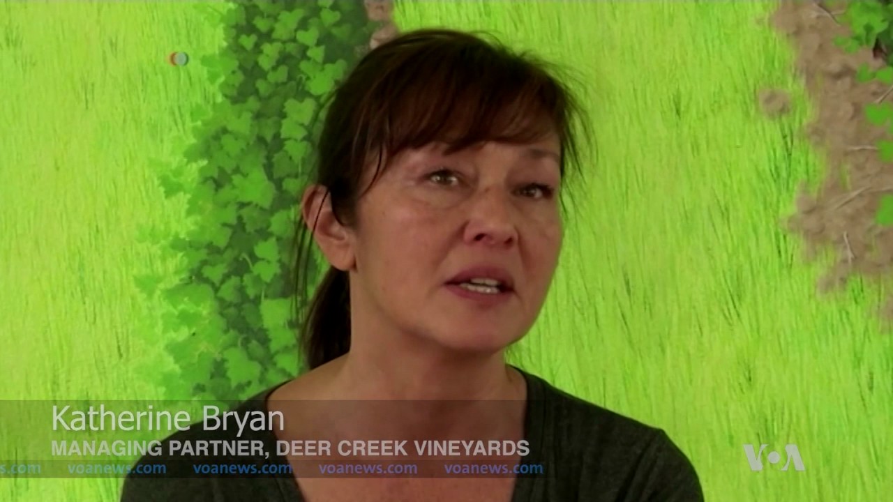 Oregon Wineries Branch Out to Legal Marijuana