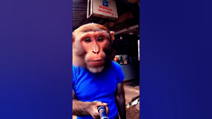 बन्दर को भगा दिया बाहर 😰 || Ai monkey video || Ai monkey vlogs #trending #comedy
