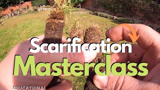 Scarification BASICS -  Learn Why And How To Scarify Your Lawn
