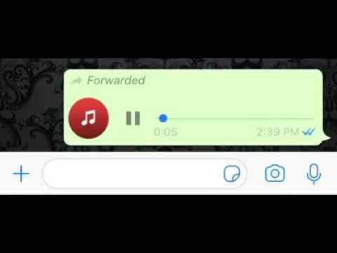 واحد الدغ والتاني غبي مش هاتفصل ضحك