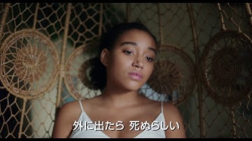 NYベストセラー青春小説の映画化『エブリシング』予告