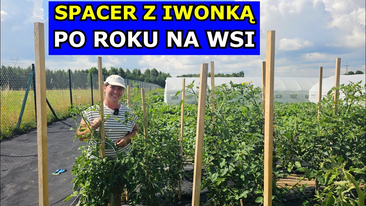 Po Roku na Wsi. Spacer z Iwonką. Wielka Radość. Trzmiele Kwiaty Warzywa Borówki Dom z Wielkim Polem.