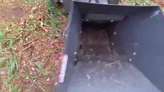 Craigslist Chipper-Shredder Find