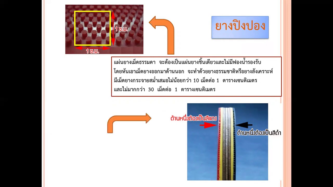 พ21104 พลศึกษา 2 - YouTube