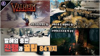 발헤임 중반 진행과 꿀팁 84가지! - 늪지대부터 산까지! [Valheim WIKI]