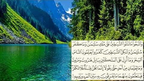 صفحة -16- page سعد الغامدي  -سورة البقرة