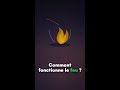 Comment fonctionne le feu ? | WhyDaily