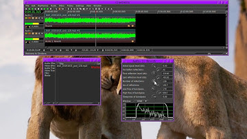The Cinelerra Reverb