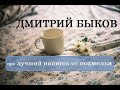 Дмитрий Быков про лучший напиток от похмелья