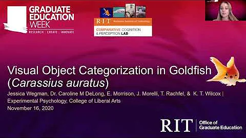 Visual Object Categorization in Goldfish (Carassiu...
