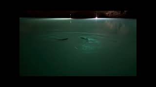 Exploring the Lost Sea: America’s Largest Underground Lake! 