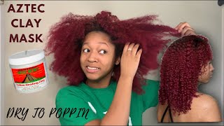 From Dry to Poppin&#39; Curls | Aztec Clay Mask on Natural Hair