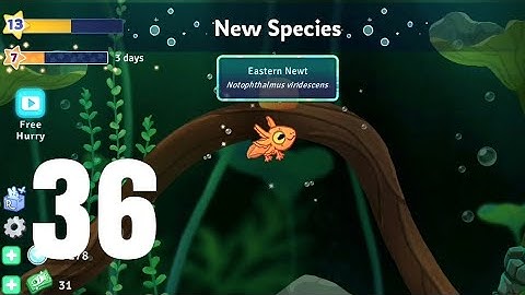 🐟 Pondlife - Relaxing Fish Game Walkthrough Part 36 | Mobile Gameplay (Android/iOS)