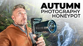 I Got Punched By A Cow On The Cabot Trail Doing Landscape Photography