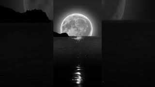 Download Lagu #aku sayang X sprinter #lovely song #korean #blackpink #kpop #music #aesthetic #k #cute #song #ive MP3 Download Lagu #aku sayang X sprinter #lovely song #korean #blackpink #kpop #music #aesthetic #k #cute #song #ive MP3