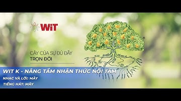 WIT K - NÂNG TẦM NHẬN THỨC NỘI TÂM | ÂM NHẠC CHUYỂN HOÁ TÂM THỨC