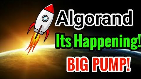 Algorand BIG PUMP! || Algorand Price Prediction! Algo Today Update