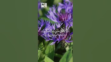 القارئ الشيخ فارس عباد سورة النحل الآية 127و 128  #اكسبلور #faresabbad