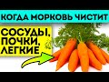 Скоро подорожает! Простой овощ очистит организм, если принимать его так