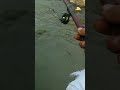 mancing masyarakat uceng