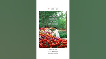 꽃이랑 인생샷 이렇게 찍어보세요 #스마트폰카메라 #스마트폰사진 #스마트폰꿀팁 #사진잘찍는법 #사진꿀팁 #사진작가 #사진찍기 #갤럭시 #폰카 #사진찍기 #사진찍기좋은곳