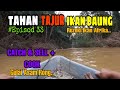 TAHAN TAJUR IKAN BAUNG EPISOD 33