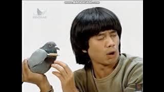 Download lagu Iklan Axis - Tanya Burung Merpati Pos (2008) @ Indosiar, TPI, RCTI, Trans TV, SCTV, & ANTV
