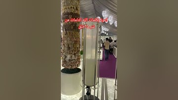 #اذكار #صلوا_على_النبي #اذكار_الصباح #اذكار_المساء #حصن_المسلم #ترند # #دعاء_مستجاب #اكسبلور #تصويري