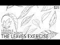 Drawabox Lesson 3, Drawing Plants: The Leaves Exercise