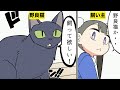 【漫画】野良猫の日常【マンガ動画】