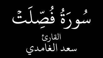 سورة فصلت   سعد الغامدي