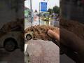 I washed the dirtiest expert transport vehicle and received $666!