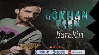 GÖKHAN ESEN/İNSANLAR VE ACILAR Resimi