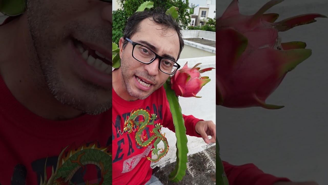 No la llames Fruta Dragón o Dragon Fruit la Pitahaya no es de China 