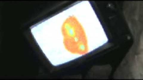 Kill Memory Crash - Crash V8