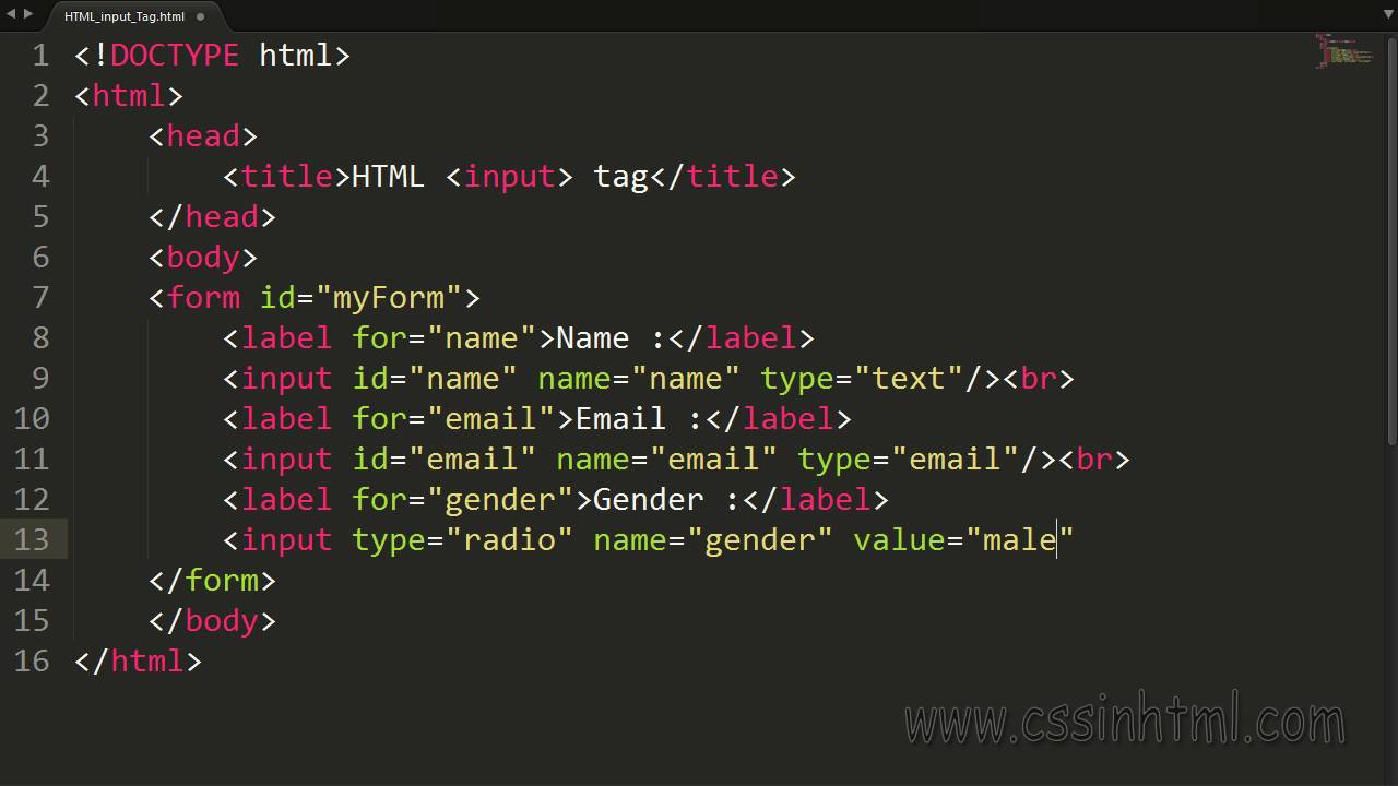 Input text label. Тег инпут в html. Элемент input html. Input Type тег html. Тег form в html.