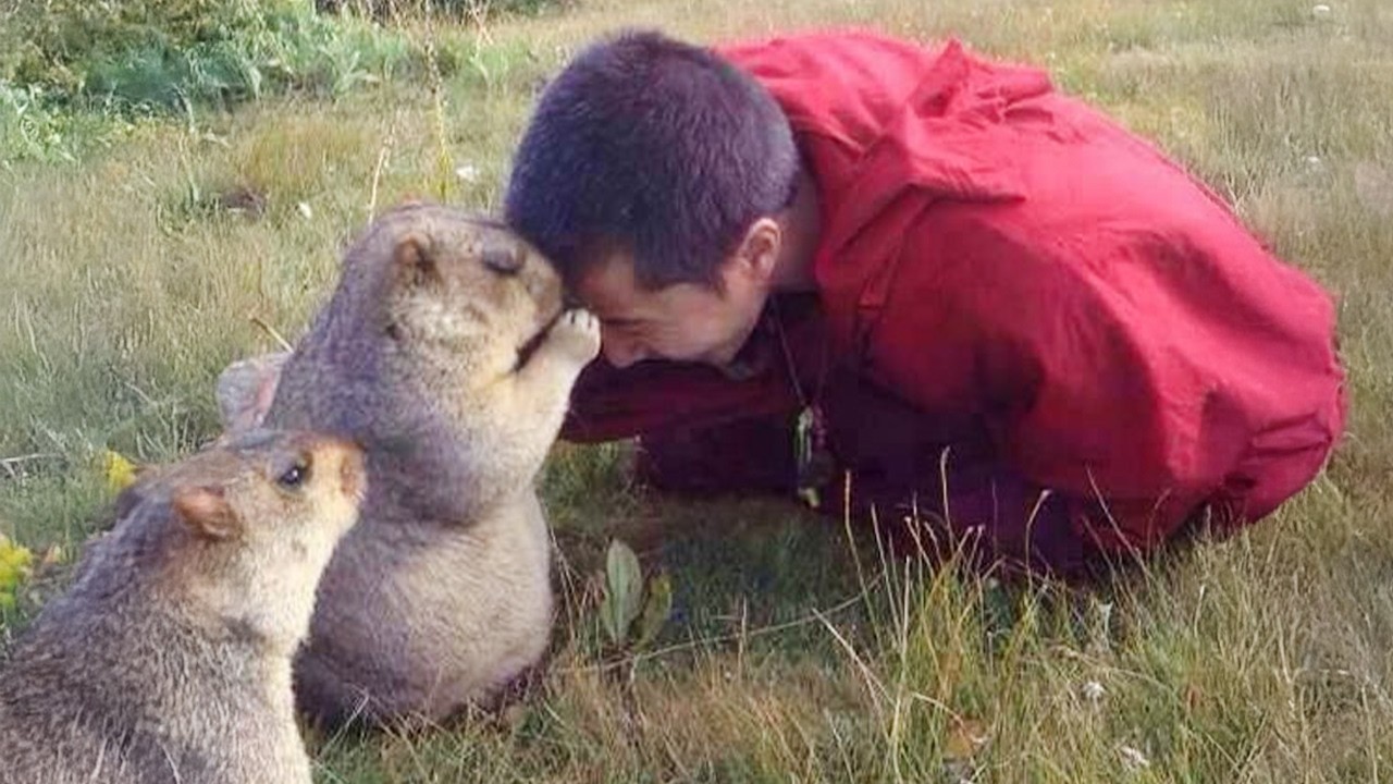 When Baby Animals and Humans Share the Cutest Moments Ever 😍